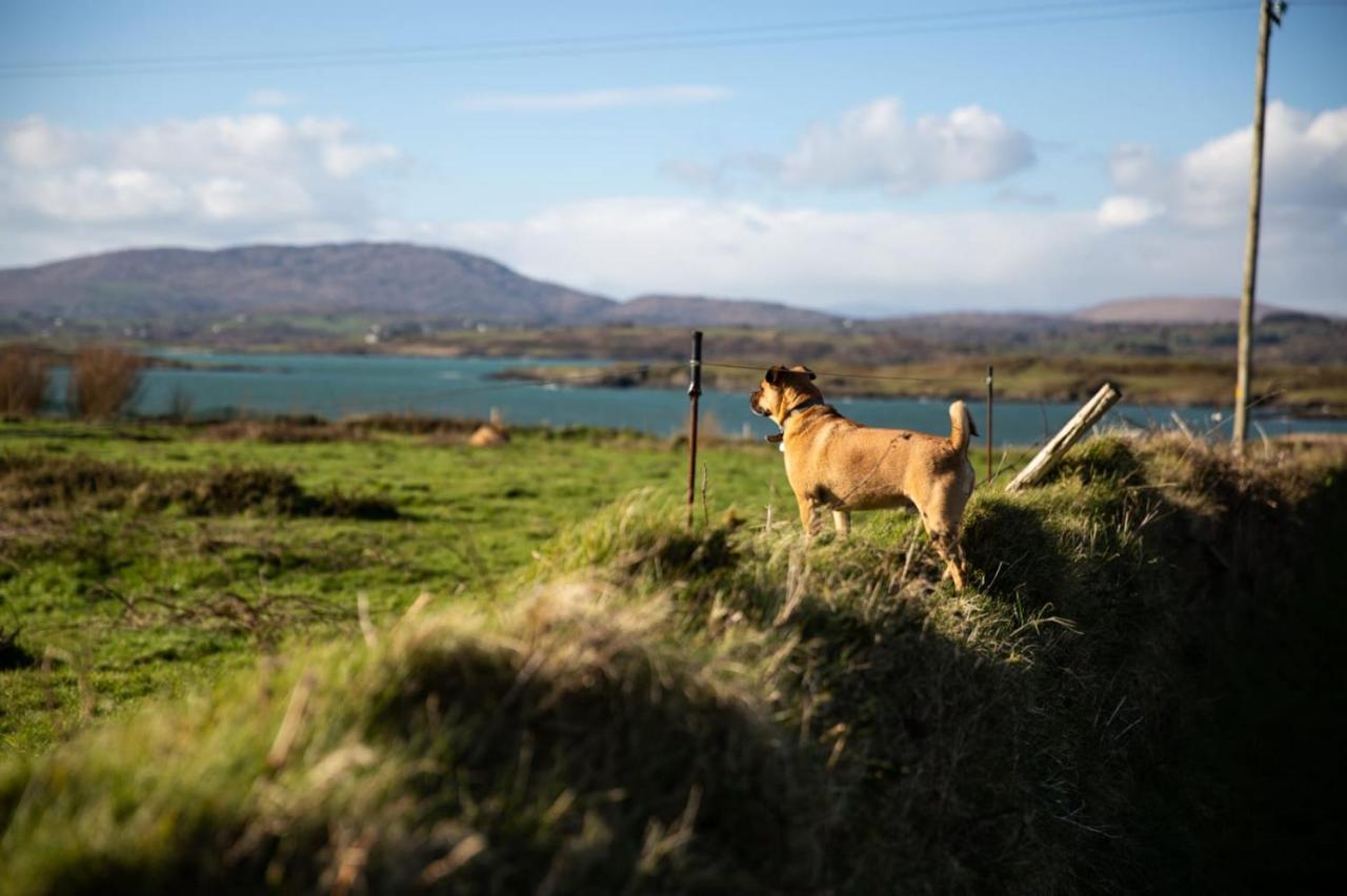 Bed and Breakfast Heir Island House Skibbereen Exterior foto
